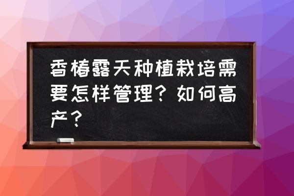 迷你世界树怎么种创造模式 香椿露天种植栽培需要怎样管理？如何高产？