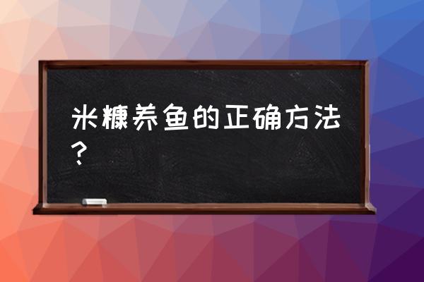 米糠喂鱼有必要先泡水吗 米糠养鱼的正确方法？