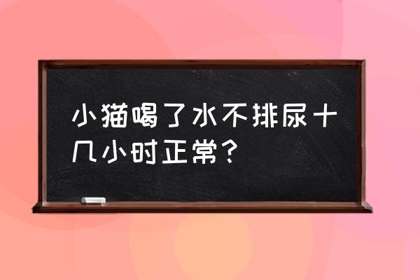 我的猫咪找不到第8关 小猫喝了水不排尿十几小时正常？