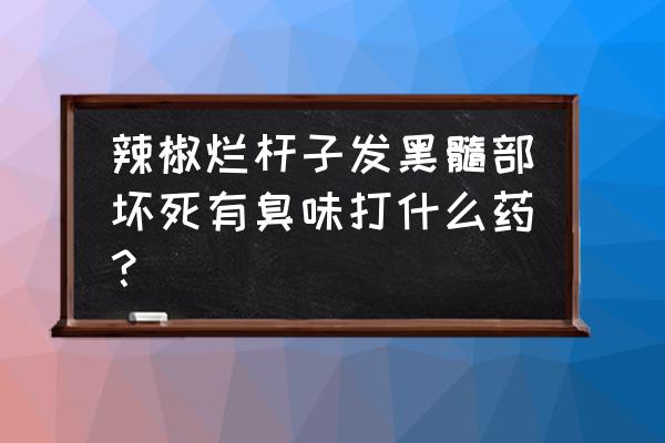 辣椒有什么病虫害防治 辣椒烂杆子发黑髓部坏死有臭味打什么药？