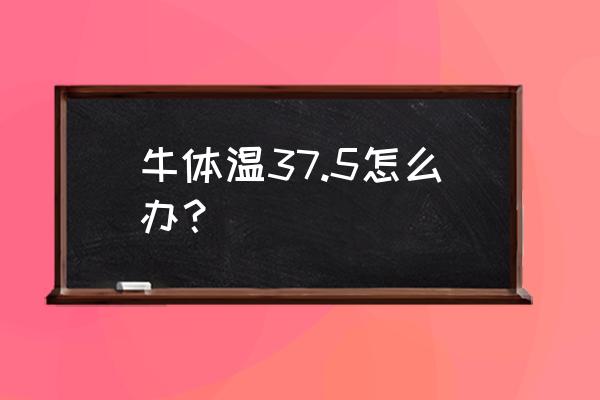 犊牛体温36.5怎么办 牛体温37.5怎么办？