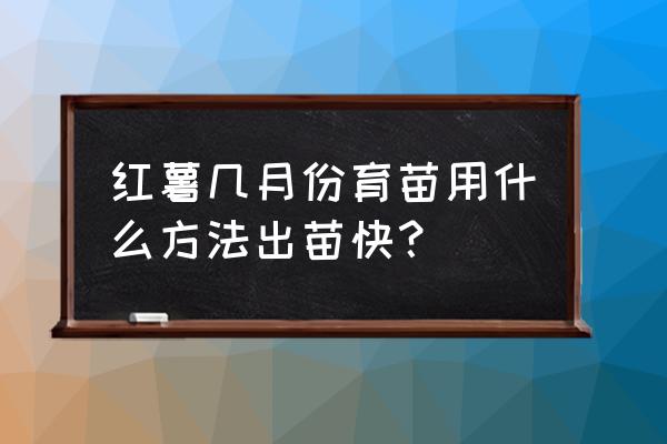 泡沫箱保存红薯一年四季不坏 红薯几月份育苗用什么方法出苗快？