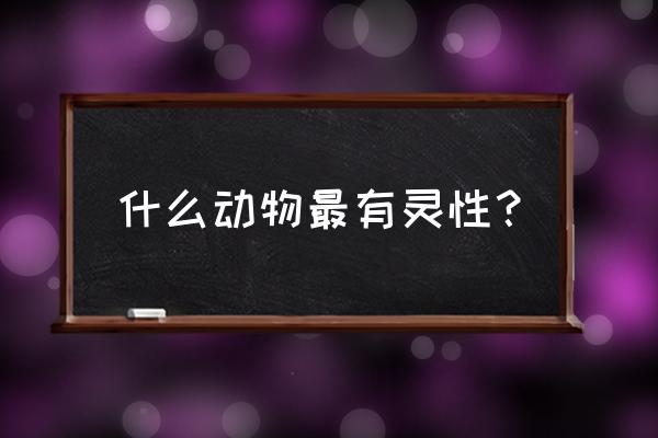 耕牛寿命一般多少年 什么动物最有灵性？