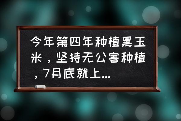 农贸市场app怎么开通 今年第四年种植黑玉米，坚持无公害种植，7月底就上市了，该怎样在网上销售呢？