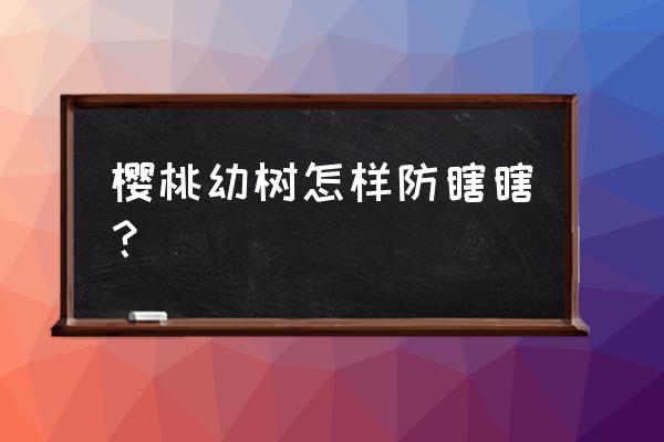 樱桃树流胶病专用药 樱桃幼树怎样防瞎瞎？