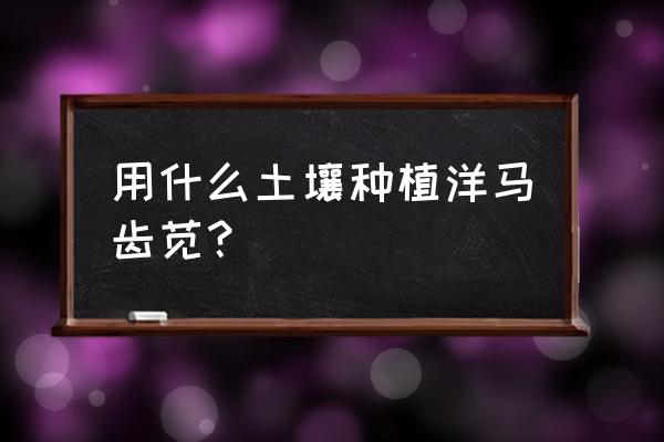 马齿苋栽培管理新技术 用什么土壤种植洋马齿苋？