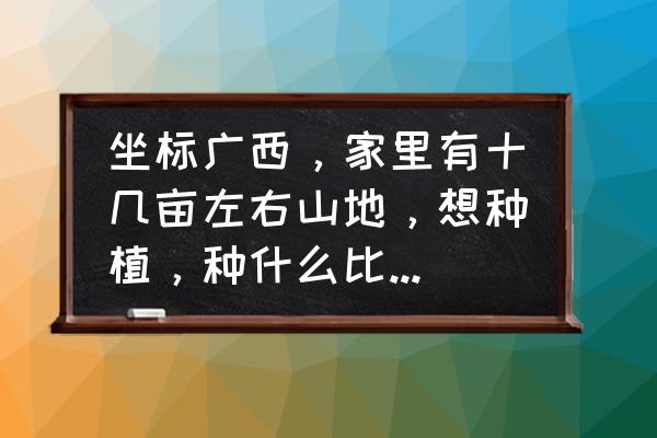 在家种植水果大全 坐标广西，家里有十几亩左右山地，想种植，种什么比外出打工好？