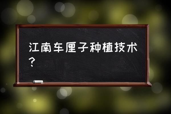 车厘子树苗刚买回来怎么栽培 江南车厘子种植技术？