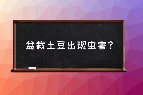 马铃薯病毒病为害哪些部位 盆栽土豆出现虫害？