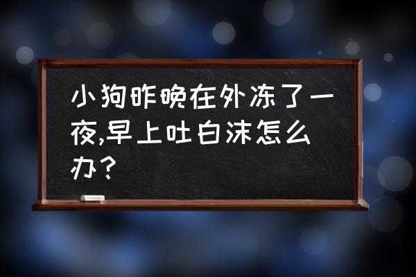 狗狗冻伤了应该买什么药 小狗昨晚在外冻了一夜,早上吐白沫怎么办？