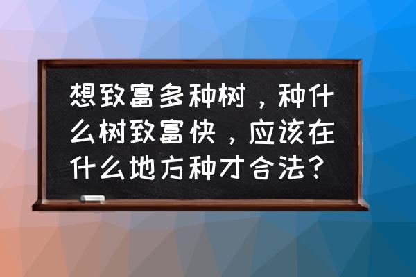 发财风景树有哪些 想致富多种树，种什么树致富快，应该在什么地方种才合法？