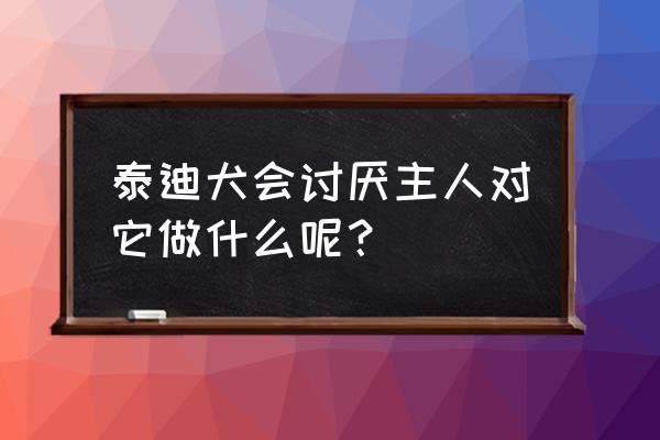 养泰迪犬要注意什么 泰迪犬会讨厌主人对它做什么呢？