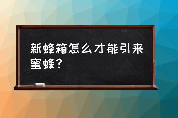 我的世界手机版蜂箱怎么获取蜂蜜 新蜂箱怎么才能引来蜜蜂？