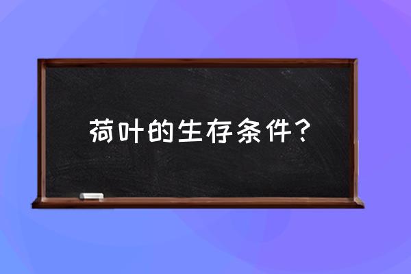 迷你世界荷叶不能种在浅水里吗 荷叶的生存条件？