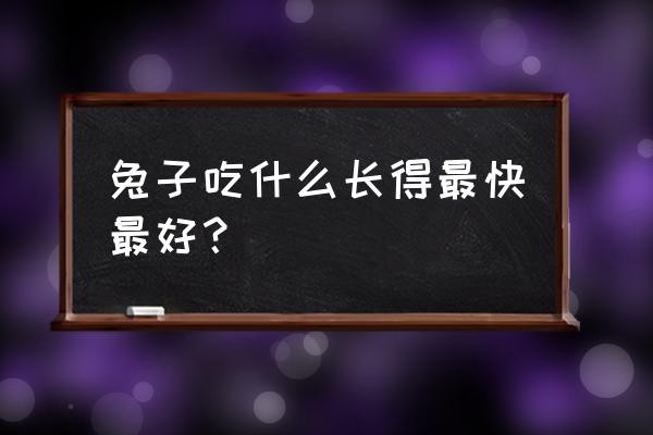 创造与魔法中怎么制造兔子饲料 兔子吃什么长得最快最好？