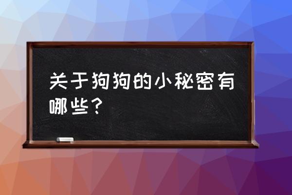 怎么护理14天后的狗宝宝 关于狗狗的小秘密有哪些？