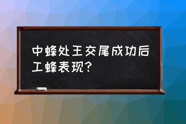 新蜂王交尾做标记什么颜色最好 中蜂处王交尾成功后工蜂表现？