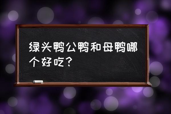 青头公鸭煲汤的做法大全 绿头鸭公鸭和母鸭哪个好吃？