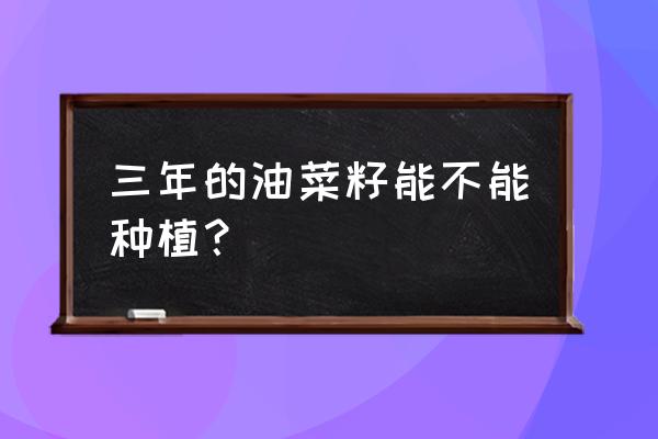 油菜籽放时间久了能榨出油吗 三年的油菜籽能不能种植？