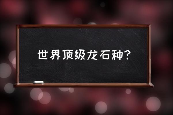 什么样的翡翠最好最名贵 世界顶级龙石种？