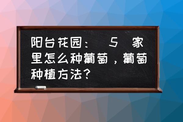 葡萄怎么种植技术大全 阳台花园：[5]家里怎么种葡萄，葡萄种植方法？