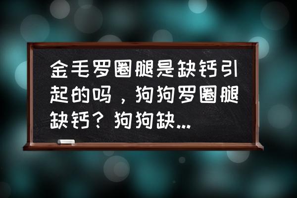 金毛配合爬楼梯 金毛罗圈腿是缺钙引起的吗，狗狗罗圈腿缺钙？狗狗缺钙怎么办？金毛缺钙罗圈腿能补好吗？