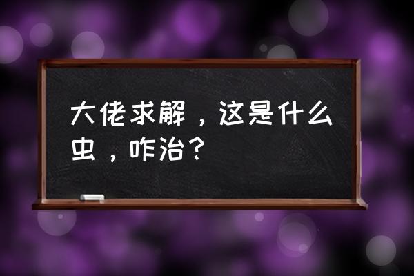 瓢虫怎么在家里养殖好呢 大佬求解，这是什么虫，咋治？