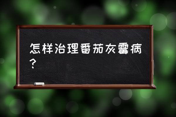 怎么诊断番茄病害及防治 怎样治理番茄灰霉病？