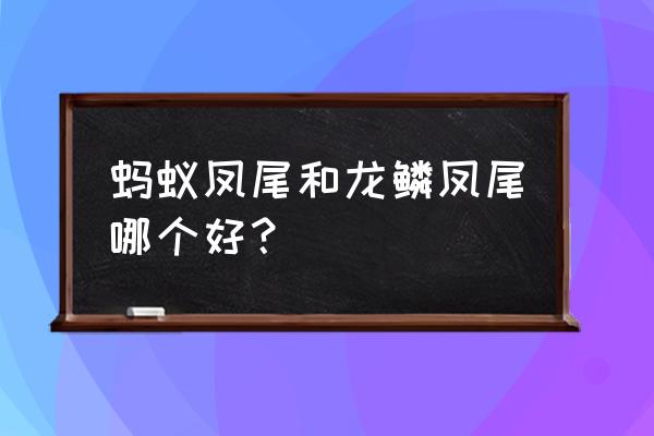 小叶紫檀鱼鳞底好还是水波纹好 蚂蚁凤尾和龙鳞凤尾哪个好？