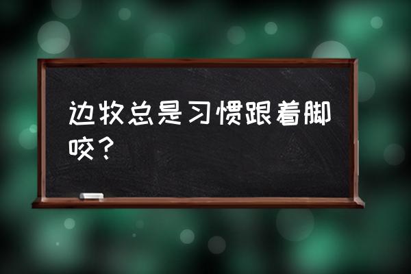 边牧喜欢咬主人手和脚 边牧总是习惯跟着脚咬？