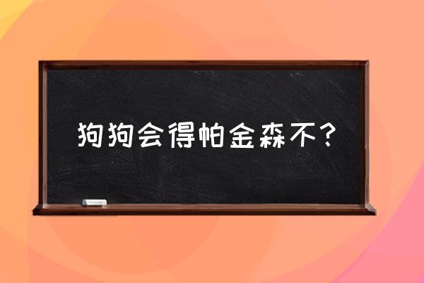 小狗有点像帕金森似的是什么病 狗狗会得帕金森不？