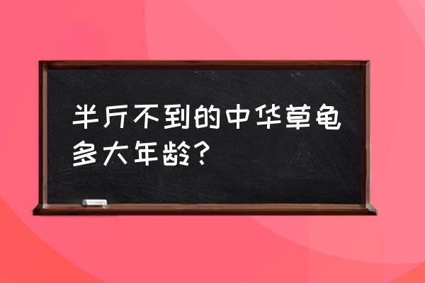 怎么区别中华草龟和金线龟 半斤不到的中华草龟多大年龄？