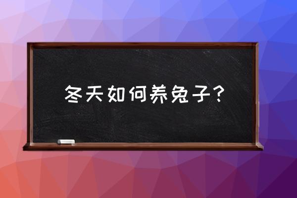 怎么让兔子御寒 冬天如何养兔子？