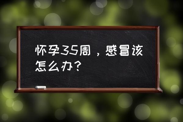 孕妇怎样判断是病毒感冒 怀孕35周，感冒该怎么办？