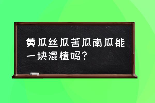 南瓜嫁接黄瓜怎么栽培 黄瓜丝瓜苦瓜南瓜能一块混植吗？