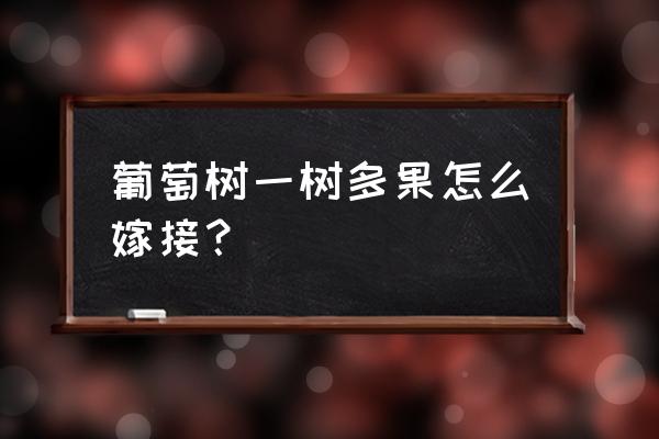 葡萄嫁接成活绝招 葡萄树一树多果怎么嫁接？