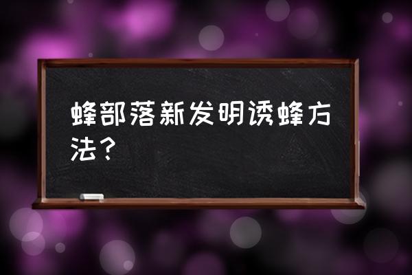 蜂箱怎样诱蜂 蜂部落新发明诱蜂方法？