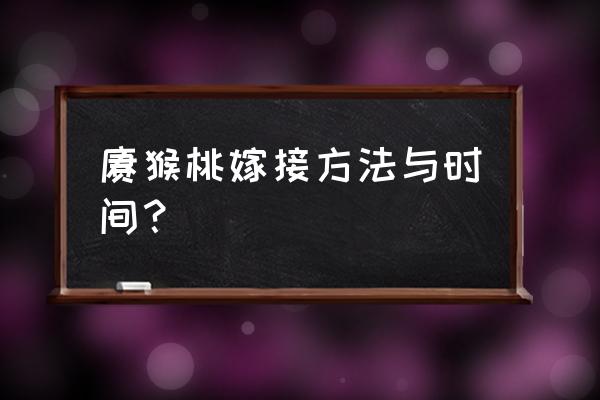 弥猴桃是怎样嫁接的 猕猴桃嫁接方法与时间？