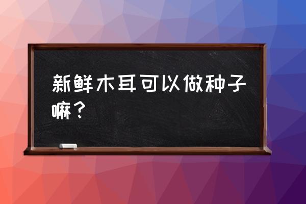 怎么才能获得小树的种子 新鲜木耳可以做种子嘛？