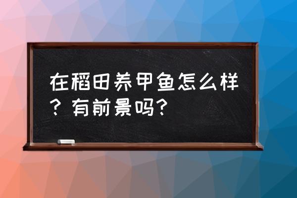 稻田养鳖病虫害防治 在稻田养甲鱼怎么样？有前景吗？