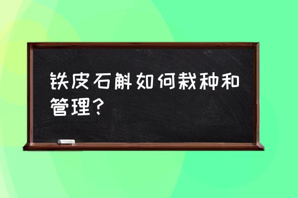 铁皮石斛的保湿功效 铁皮石斛如何栽种和管理？