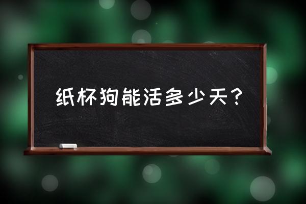 杯子犬怎么饲养 纸杯狗能活多少天？