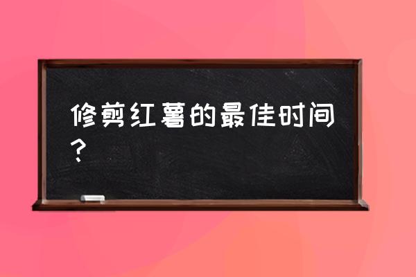 红薯收获前几天可以把秧剪掉吗 修剪红薯的最佳时间？