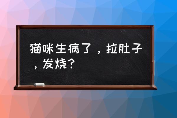 猫咪发烧吃什么药 猫咪生病了，拉肚子，发烧？