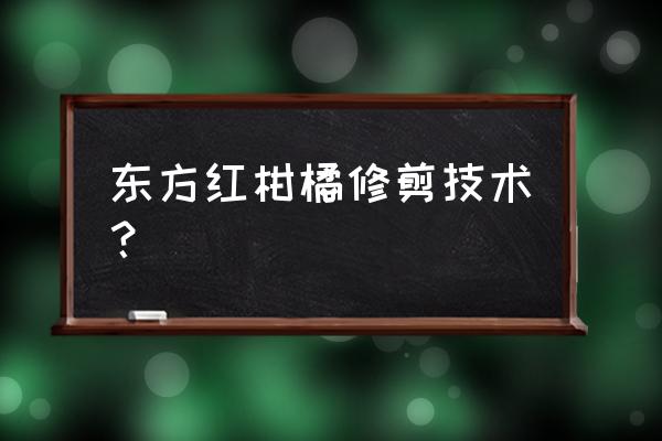 柑橘夏季修剪基本方法有三种 东方红柑橘修剪技术？