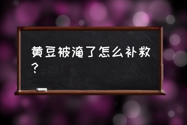 小树苗被水淹了补救方法 黄豆被淹了怎么补救？