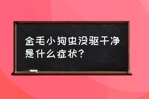 怎样看狗狗体内有没有虫呢 金毛小狗虫没驱干净是什么症状？