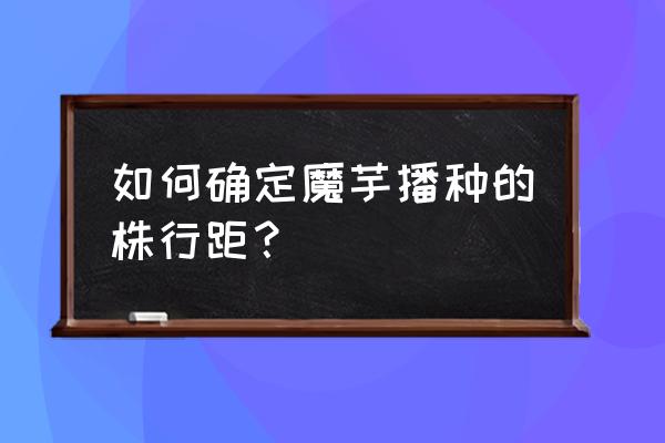 魔芋种买大好还是买小好 如何确定魔芋播种的株行距？