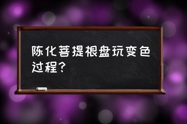 菩提根怎么盘玩变色最快 陈化菩提根盘玩变色过程？