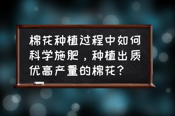 棉花怎么种植方法教程图 棉花种植过程中如何科学施肥，种植出质优高产量的棉花？